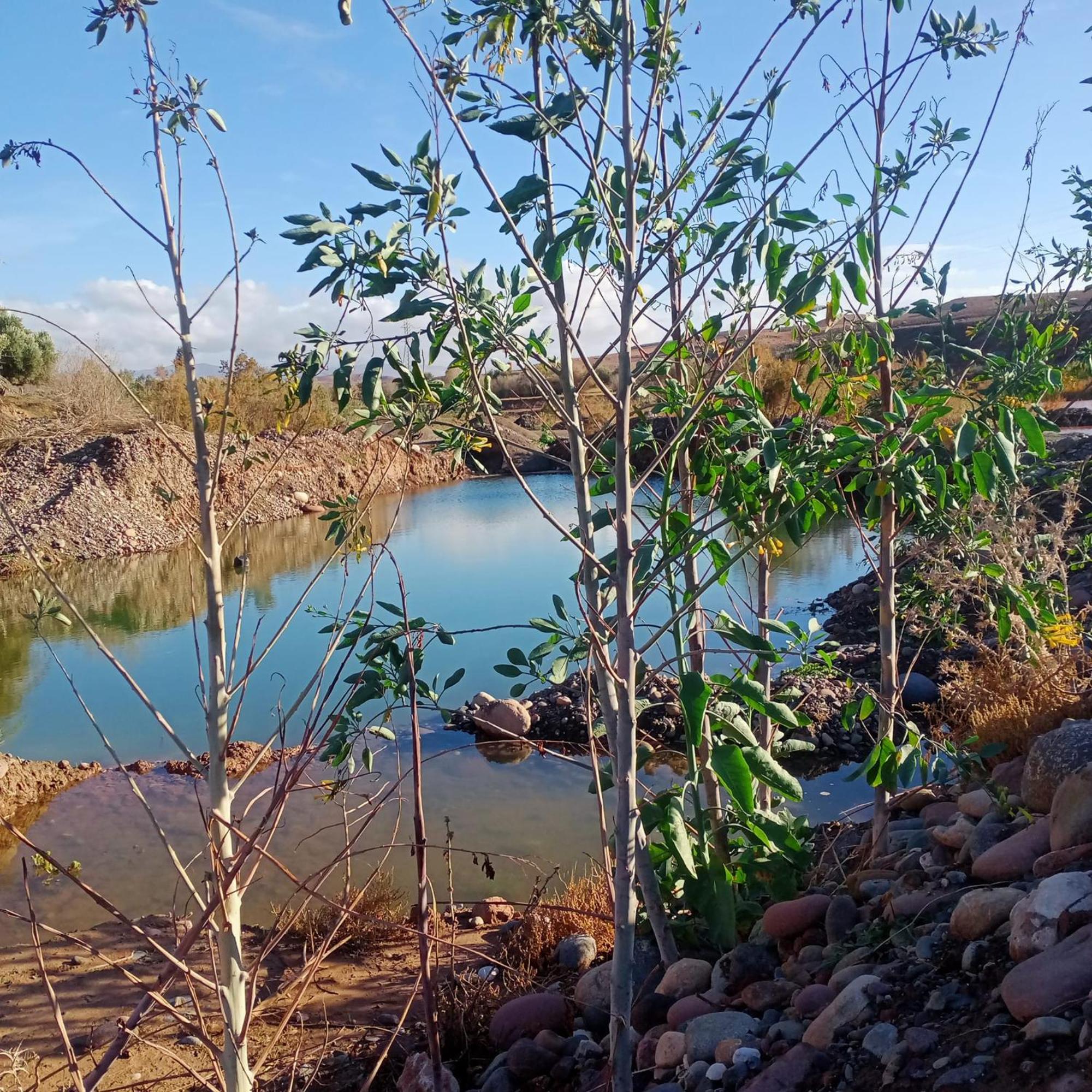 Ngayan Camp 호텔 Taïzelt 외부 사진